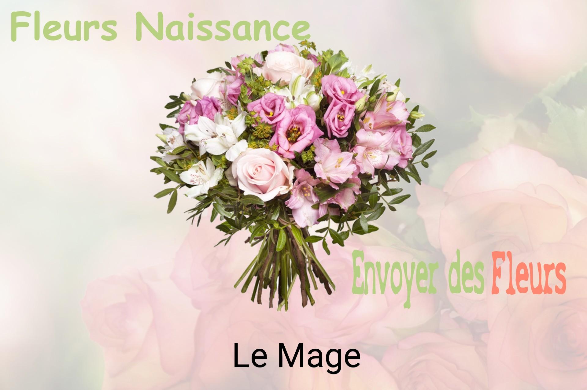 Bouquet de fleurs de naissance livré à Le Mage
