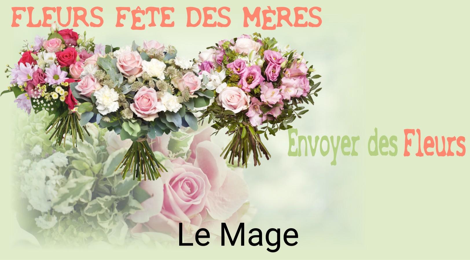 Bouquet de Fête des Mères livré à Le Mage
